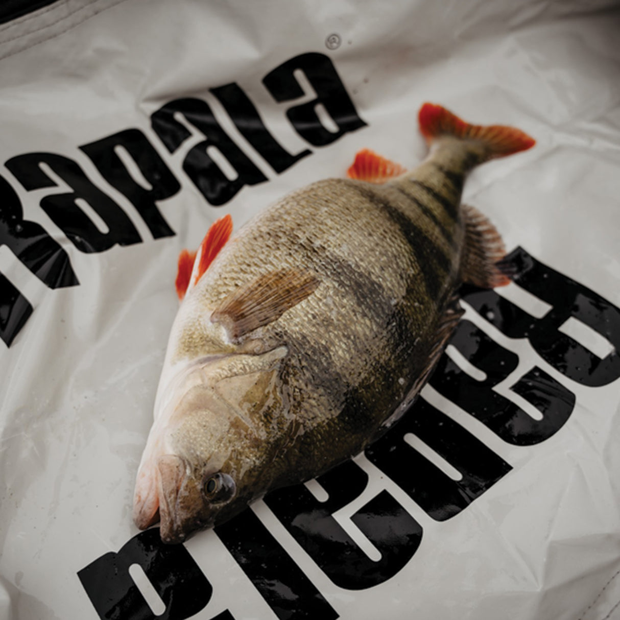 Rapala Weight & Release Mat vägningssäck