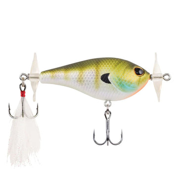 Bluegill