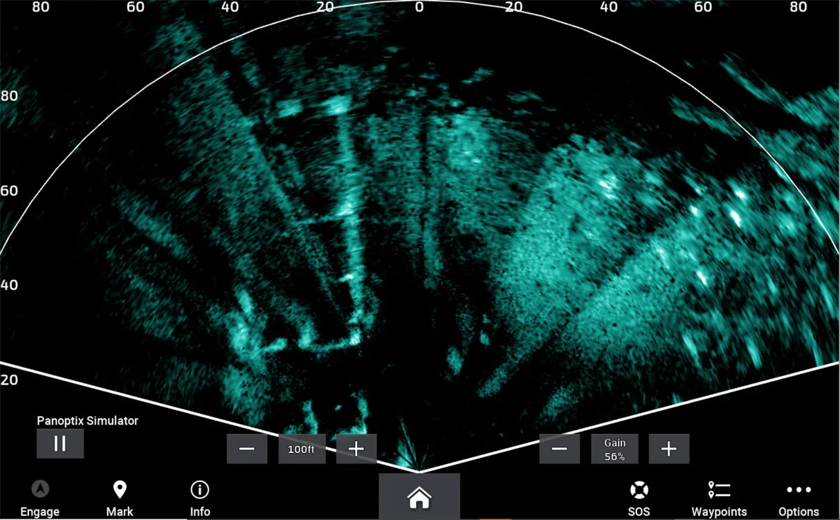 Garmin Panoptix LiveScope XR LVS62 anturi - Happy Angler