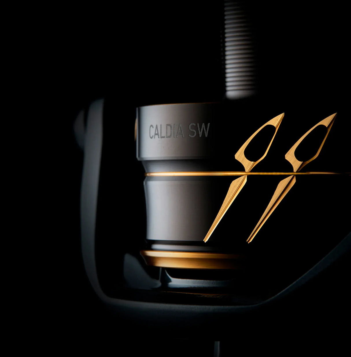 Daiwa 22 Caldia SW avokela - Happy Angler