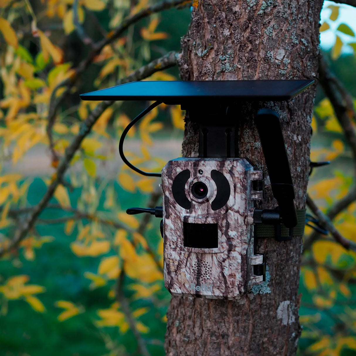 Retki 4G Pro riistakamera aurinkopaneelilla ja live-kuvalla - Happy Angler