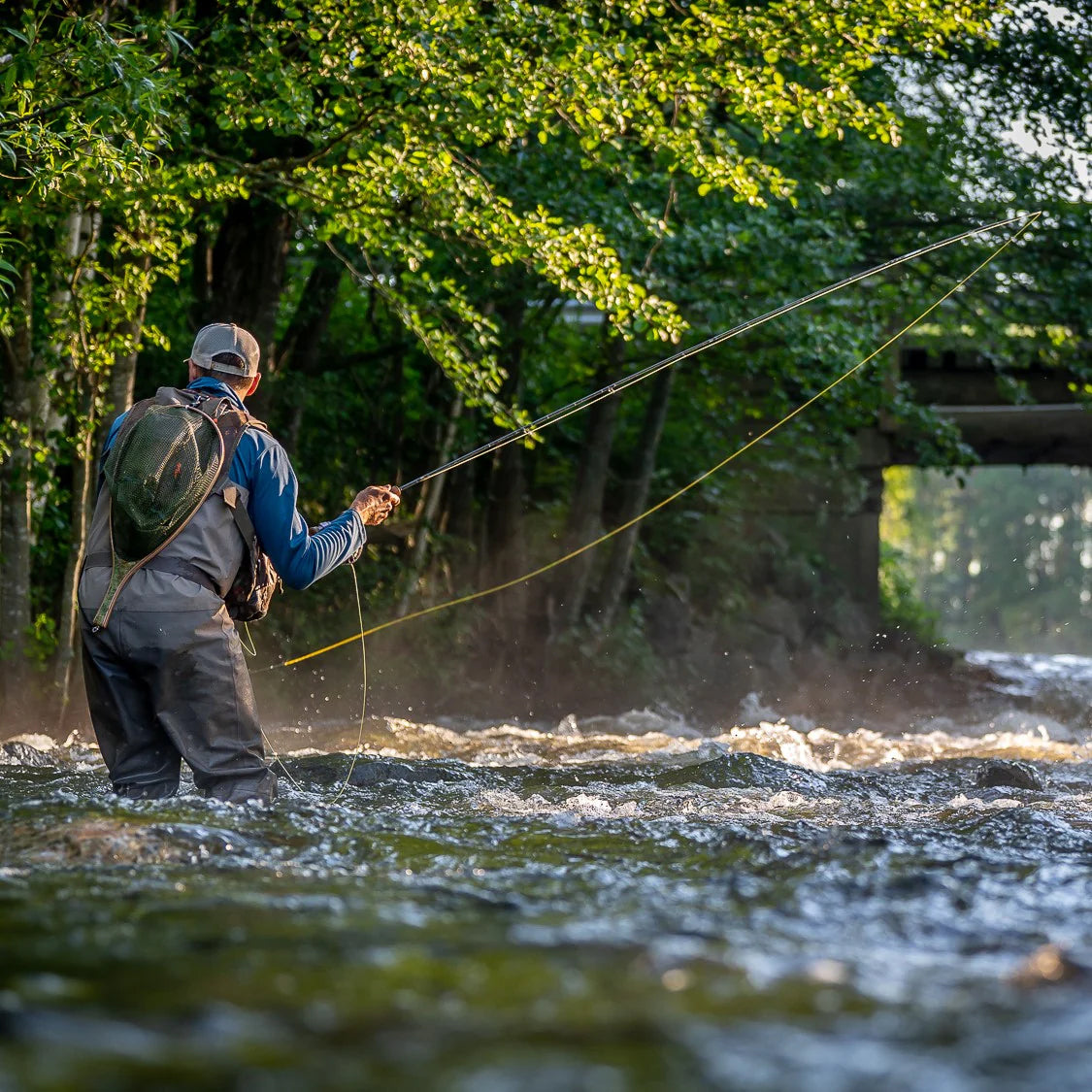 Vision VIBE 85+ WF fluglina