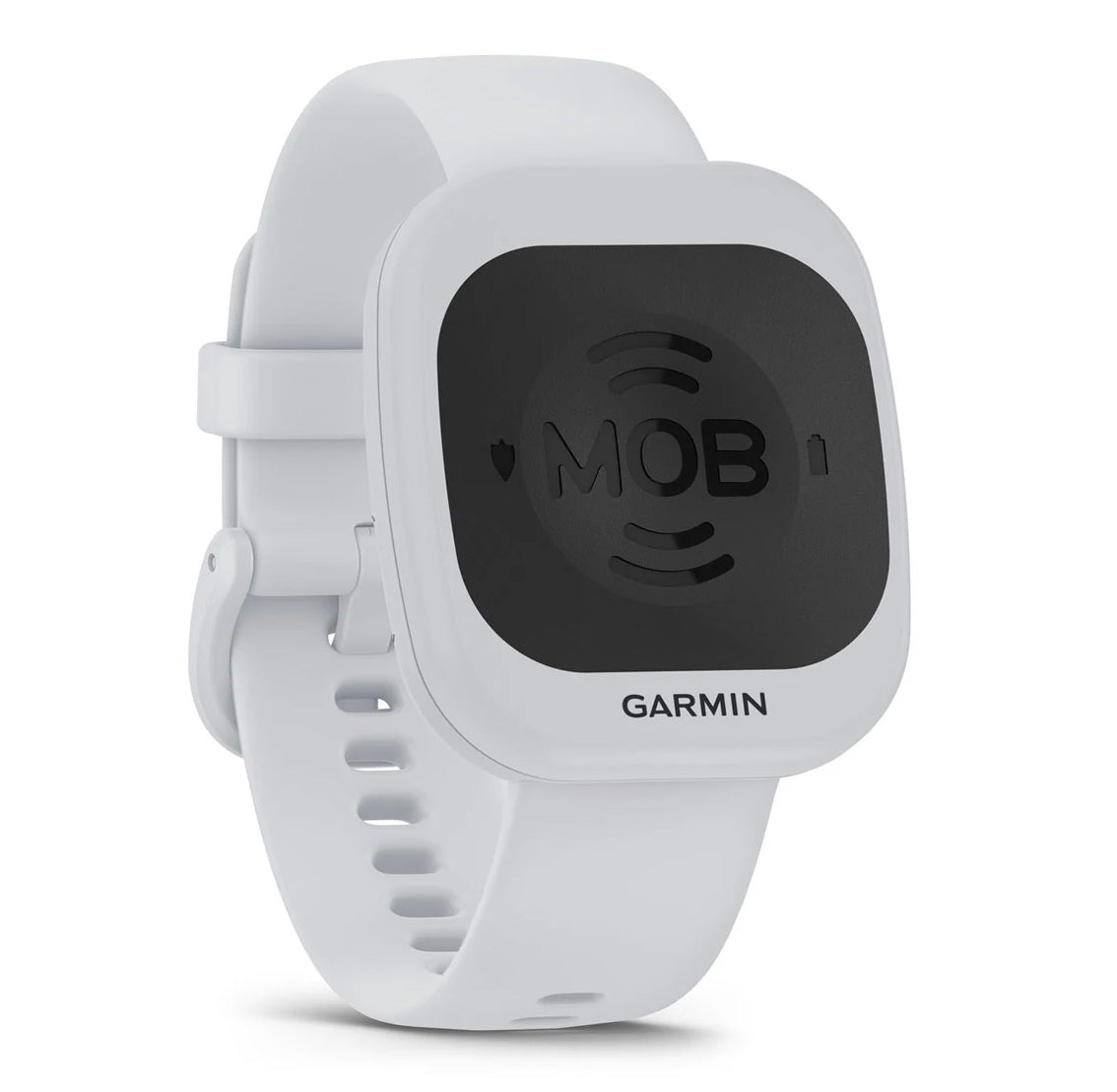 Garmin OnBoard system