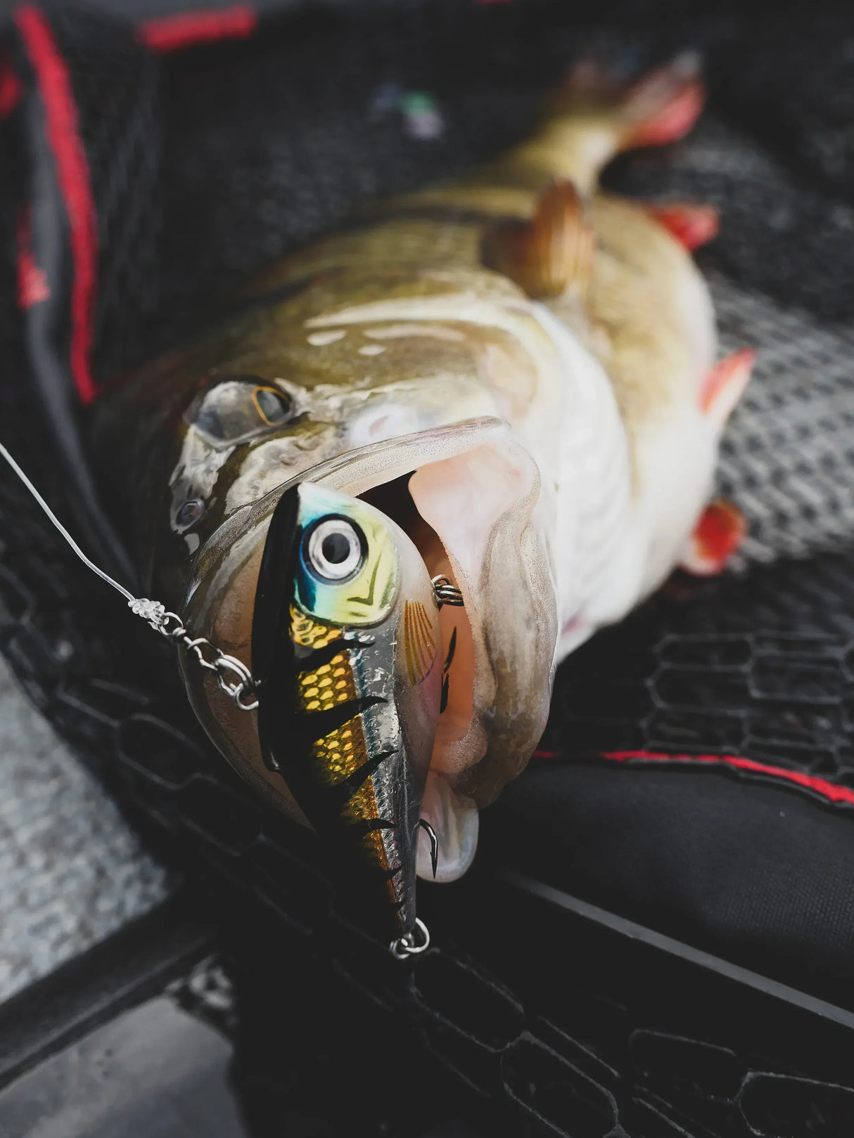 Rapala Rippin Rap 7 cm - Happy Angler