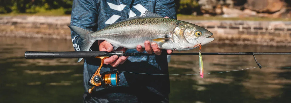 Patriot Fireball Xtreme + Daiwa 23 Aird LT avokelasetti kuitusiimalla - Happy Angler