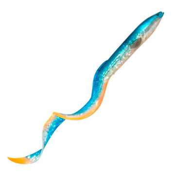 Blue Fegis Eel