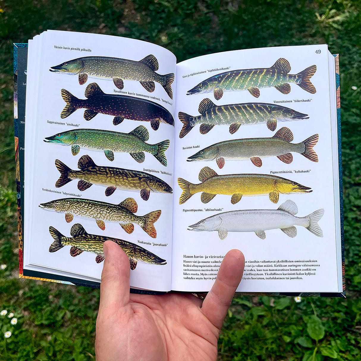 Sakke Yrjölä Suomen Kalalajien Tunnistusopas