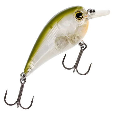 Clear Olive