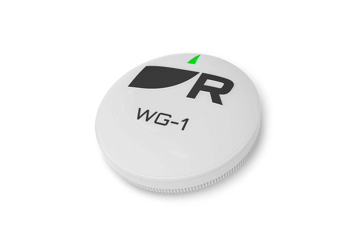 Raymarine RCU-1 fjärrkontroll för autopilot + WG-1 Wireless Gateway