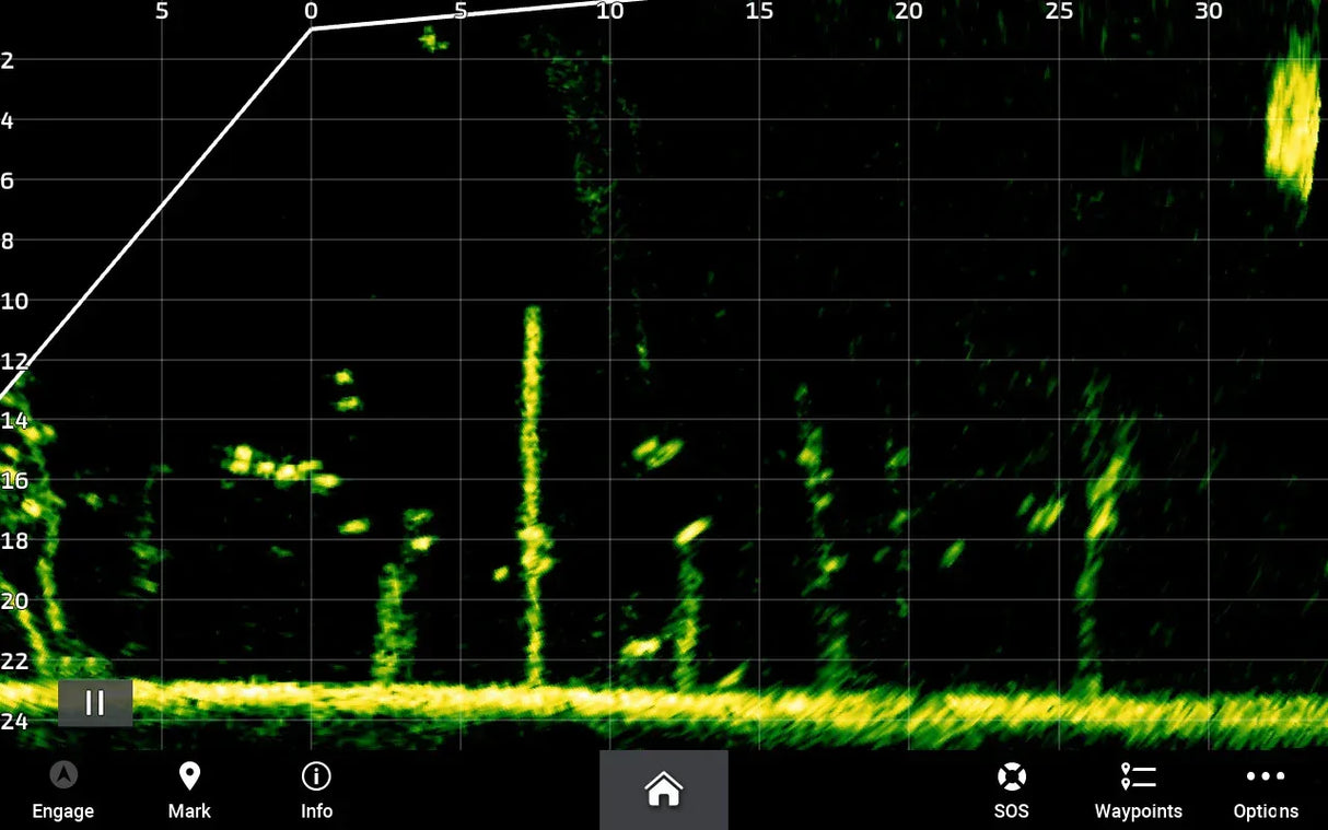 Garmin LiveScope Plus System - Happy Angler