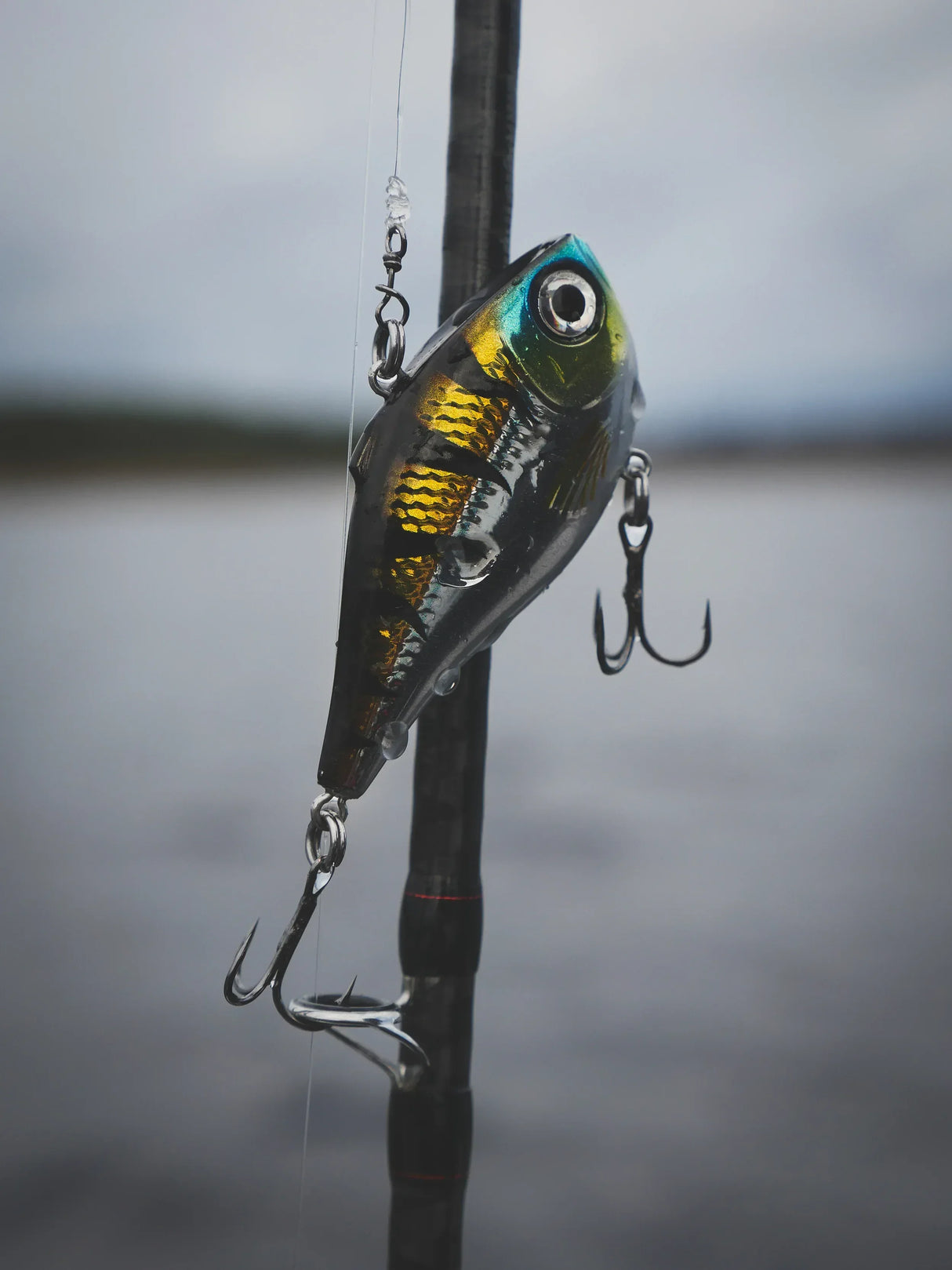 Rapala Rippin Rap 7 cm - Happy Angler