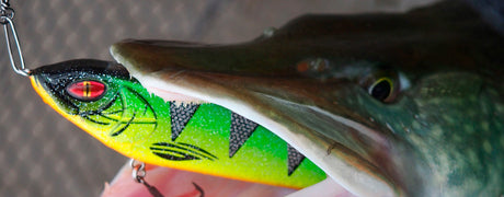 Hauen jerkkikalastus - Happy Angler