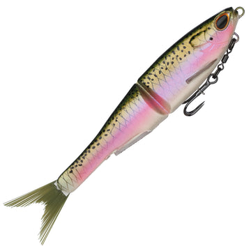 Rainbow Trout