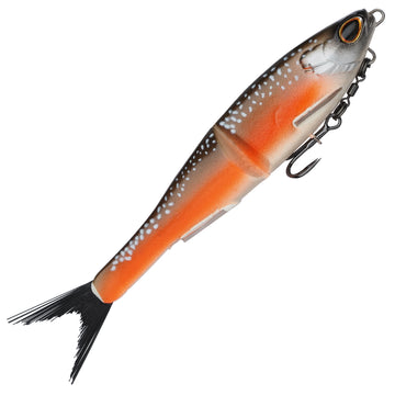 Arctic Char