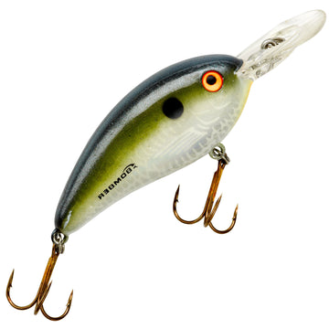 Tennessee Shad