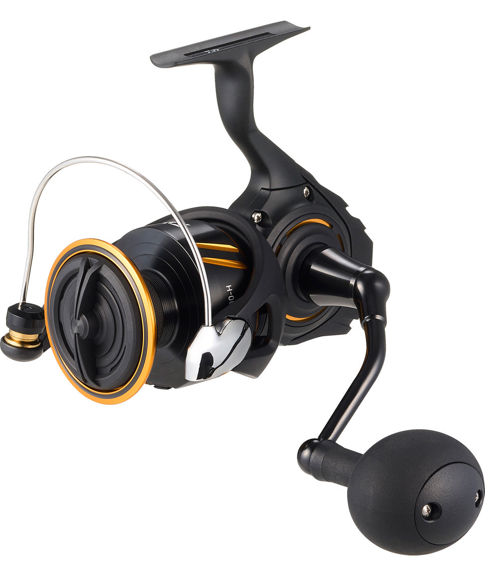 Daiwa 26 BG SW avokela
