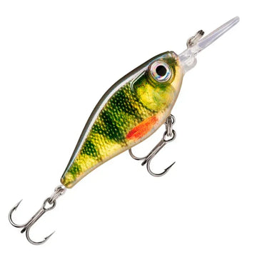 Live Perch