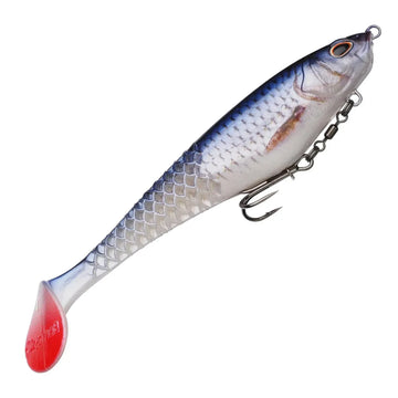 Roach