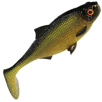 Tench