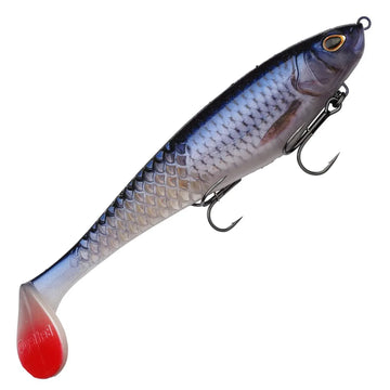 Roach