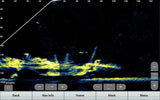 Garmin Panoptix LiveScope XR LVS62 anturi - Happy Angler