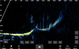 Garmin Panoptix LiveScope XR LVS62 anturi - Happy Angler