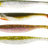 Westin Shadteez Slim 7,5 cm jigi 4 kpl/pkt - Happy Angler