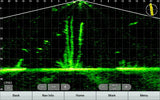Garmin Panoptix LiveScope XR LVS62 anturi - Happy Angler