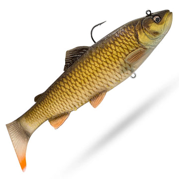 Bream