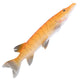 Alla erbjudanden