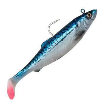 Mackerel
