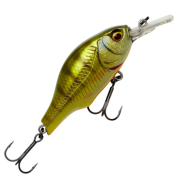 Perch