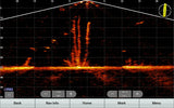 Garmin Panoptix LiveScope XR LVS62 anturi - Happy Angler