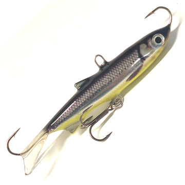 Muikku, keltainen vatsa