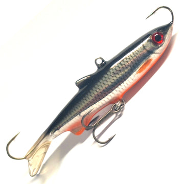 Särki, oranssi vatsa