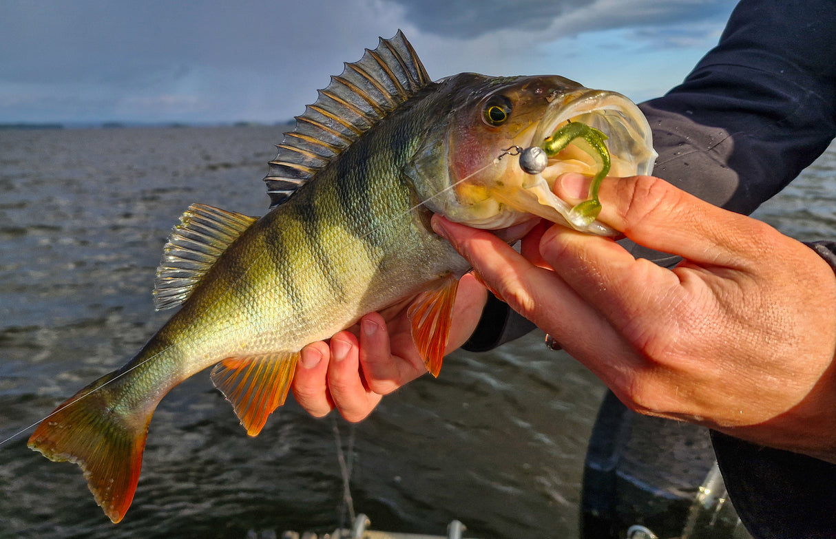 Kuore Recoil 11 cm jigg 3 st/pkt