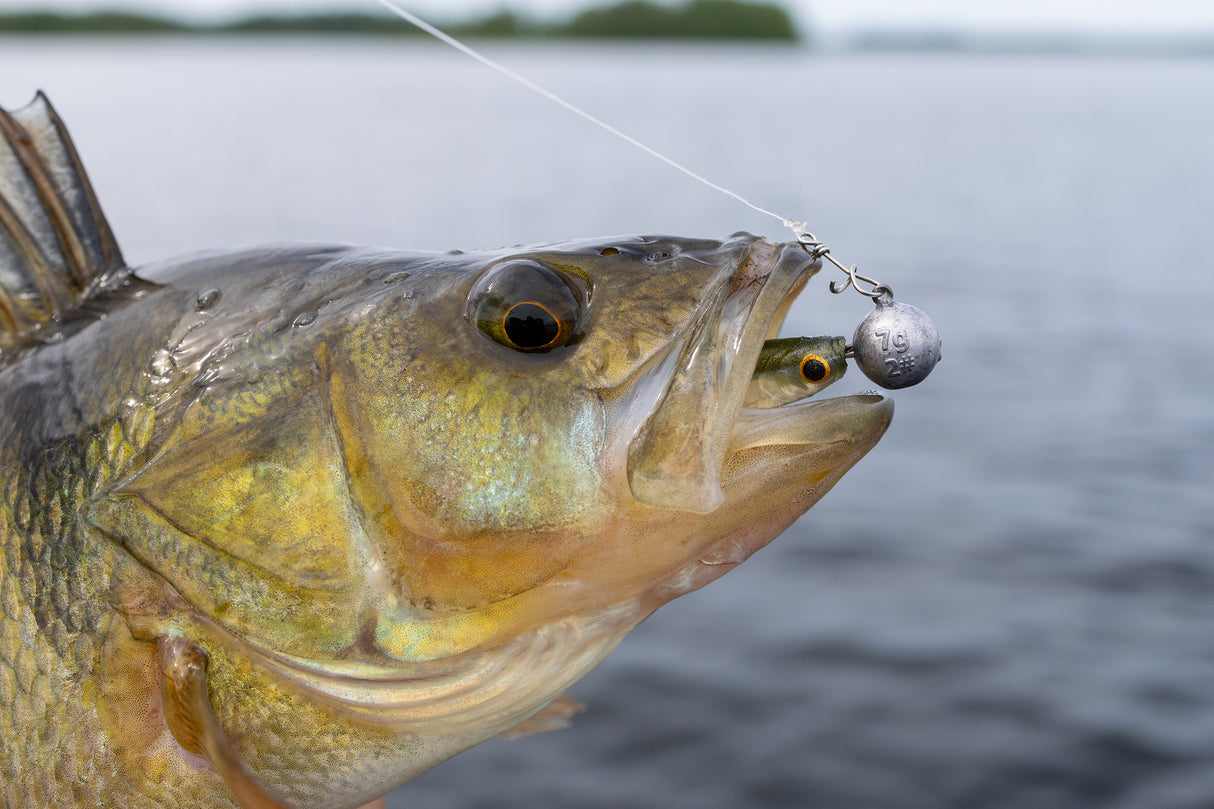 Kuore Recoil 11 cm jigg 3 st/pkt