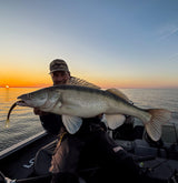 Kuore Phantom 20 cm jigg 2 st/pkt