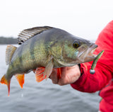 Kuore Log 7 cm jigg 4 st/pkt