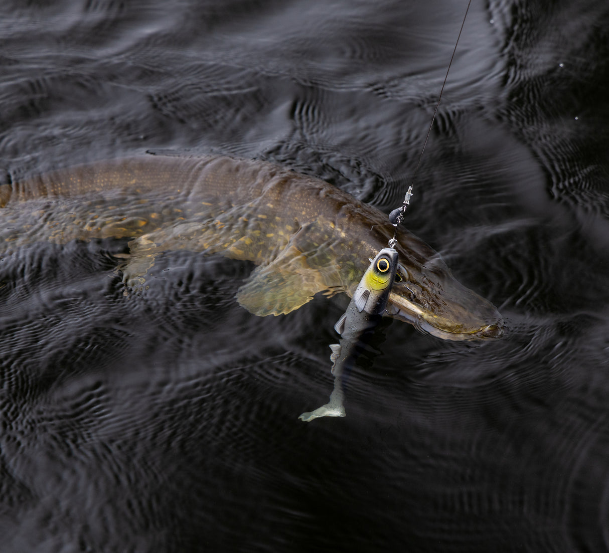 Kuore Bigfoot 30 cm jigg