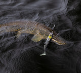 Kuore Bigfoot 30 cm jigg