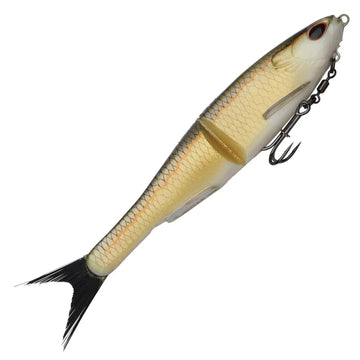 Gold Shad