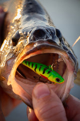 Hurricane Typhoon Runner 18 g spin tail