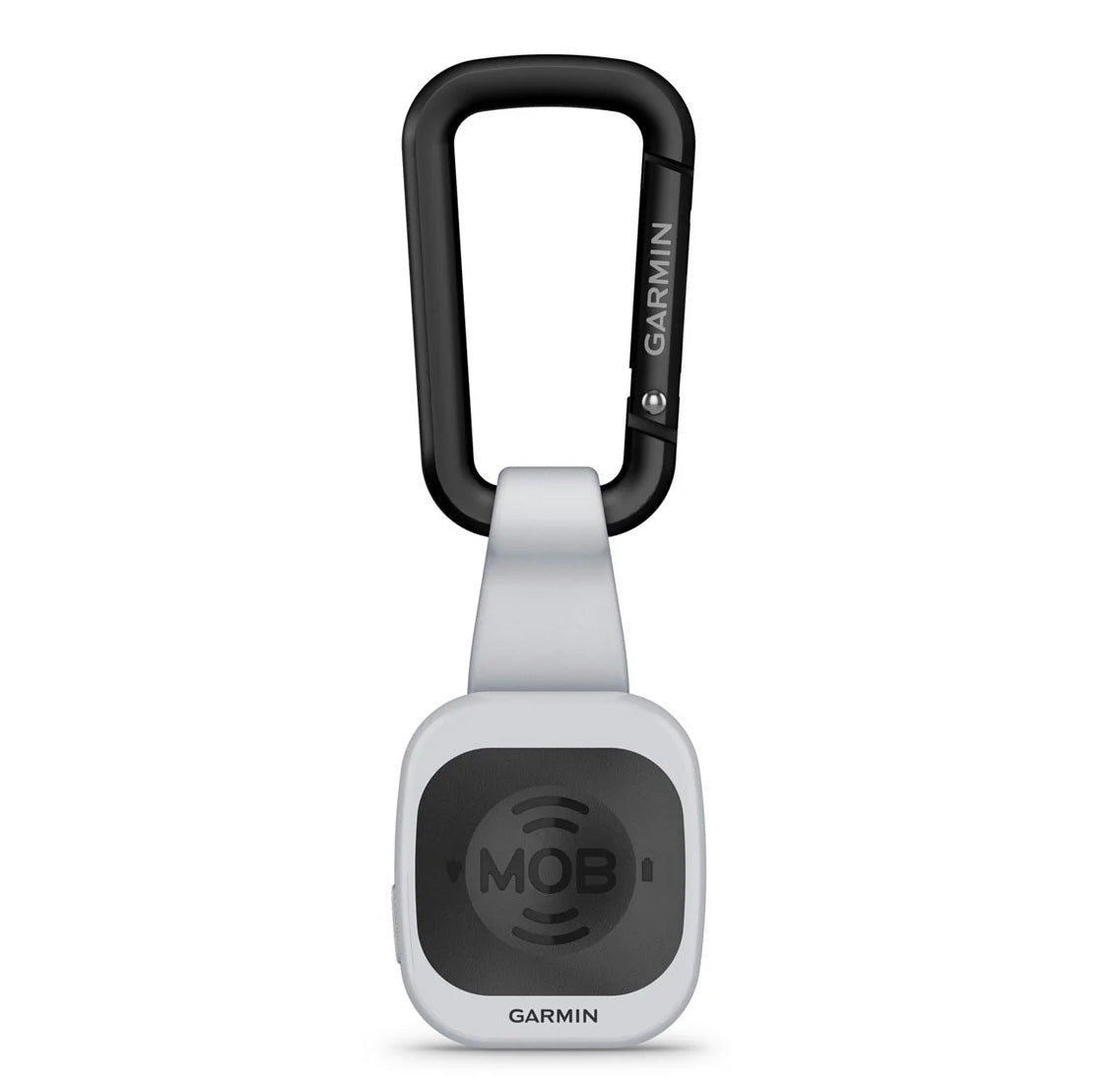 Garmin OnBoard system