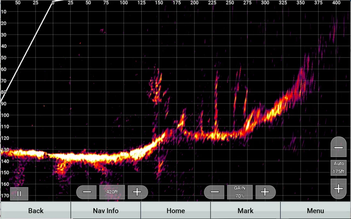 Garmin Panoptix LiveScope XR LVS62 anturi - Happy Angler