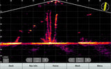 Garmin Panoptix LiveScope XR LVS62 anturi - Happy Angler