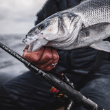 Savage Gear Defiance SG8 Inshore haspelspö