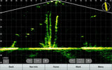 Garmin Panoptix LiveScope XR LVS62 anturi - Happy Angler