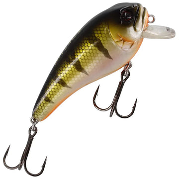 Bling Perch