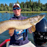 Mikado MFT Roach 15 cm jigi 2 kpl/pkt - Happy Angler